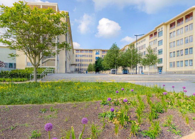 Lesegarten 1.BA Hochschule Merseburg
