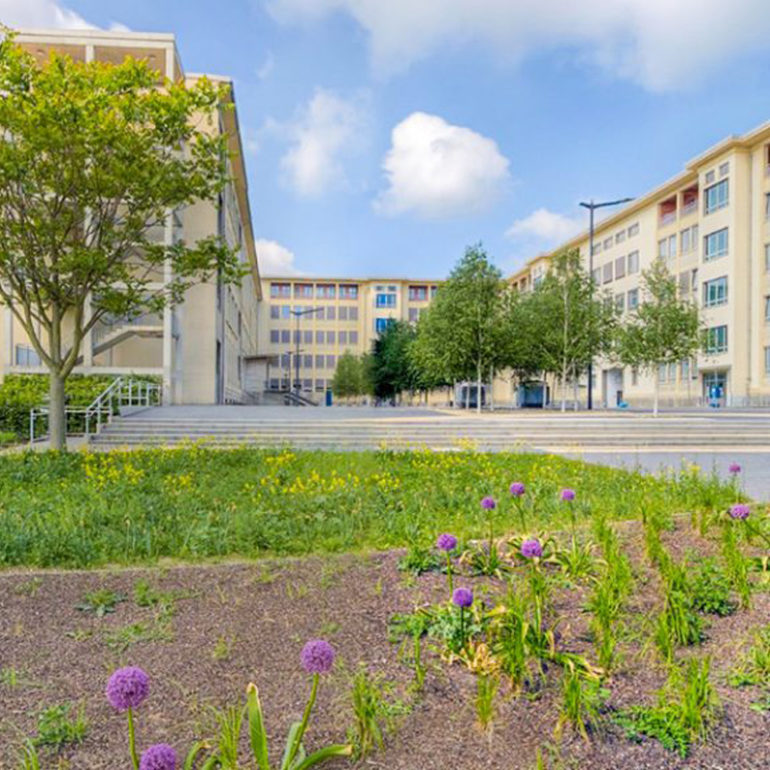 Lesegarten 1.BA Hochschule Merseburg